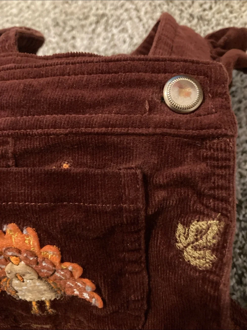98% Cotton, Corduroy Overall Thanksgiving Dress with Autumn Embroidery